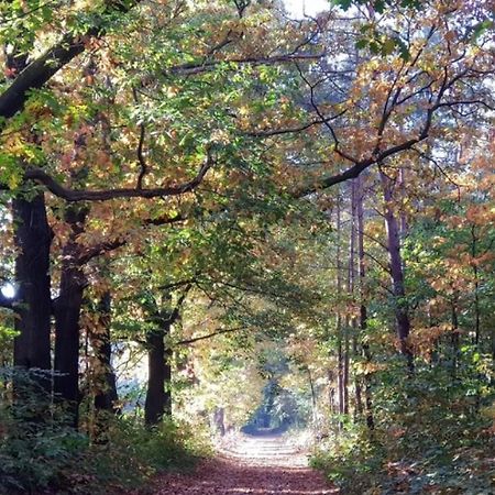 פורטהאוזן Vakantiehuis Op Rustig Bospark Veluwe מראה חיצוני תמונה