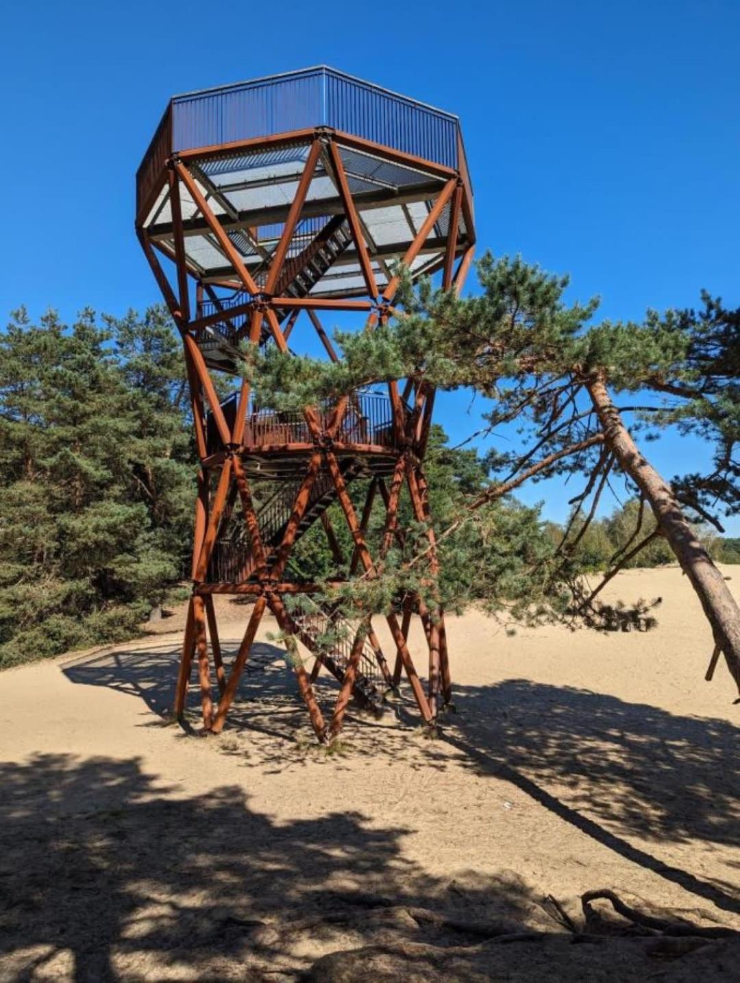 פורטהאוזן Vakantiehuis Op Rustig Bospark Veluwe מראה חיצוני תמונה