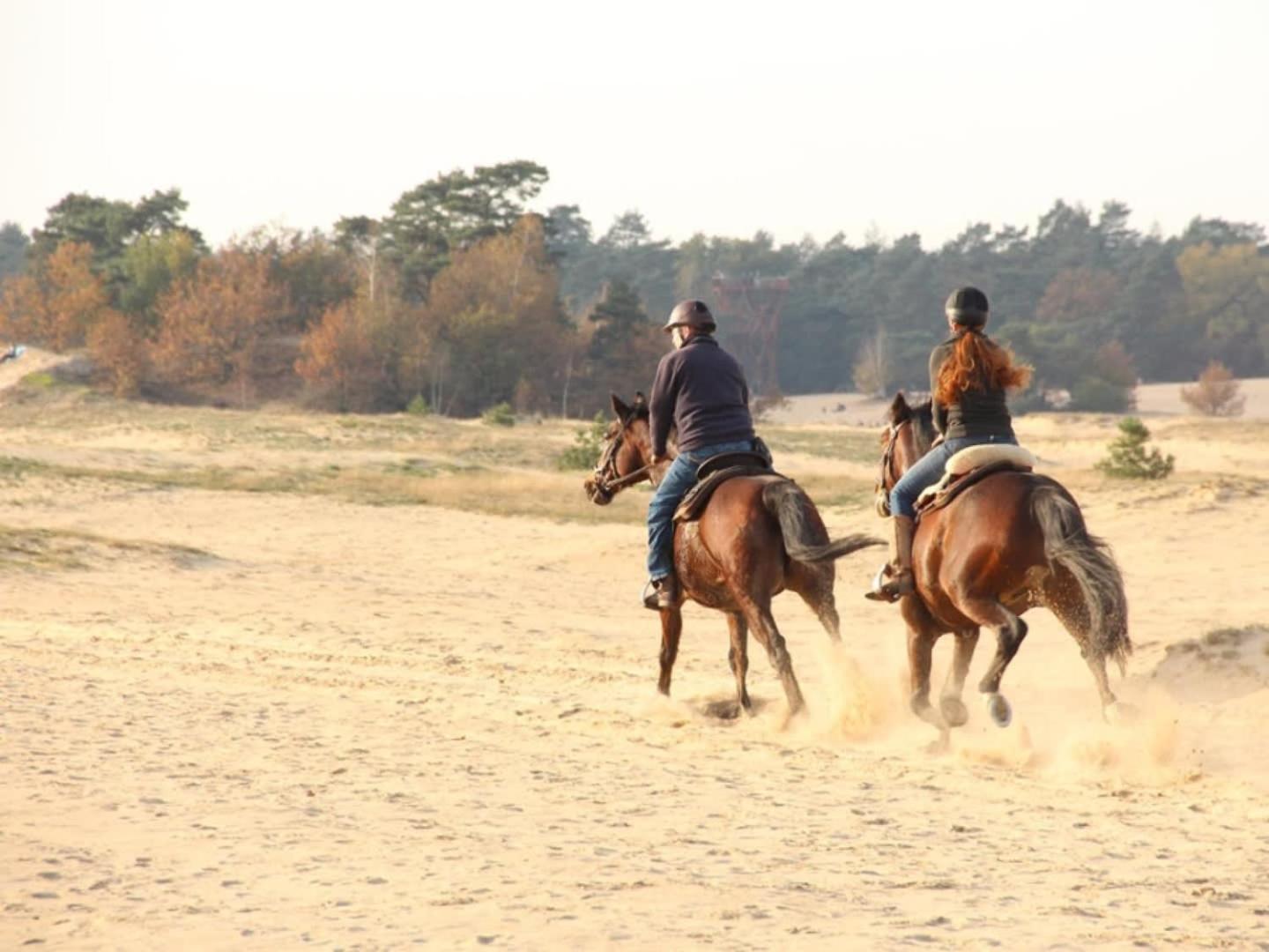 פורטהאוזן Vakantiehuis Op Rustig Bospark Veluwe מראה חיצוני תמונה
