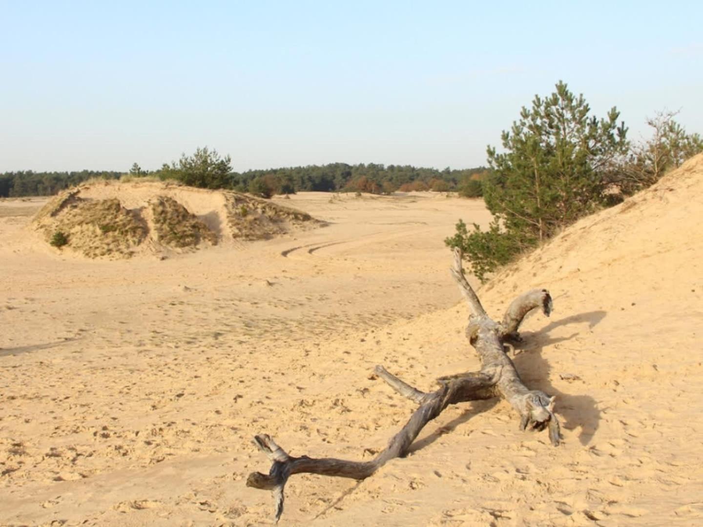 פורטהאוזן Vakantiehuis Op Rustig Bospark Veluwe מראה חיצוני תמונה