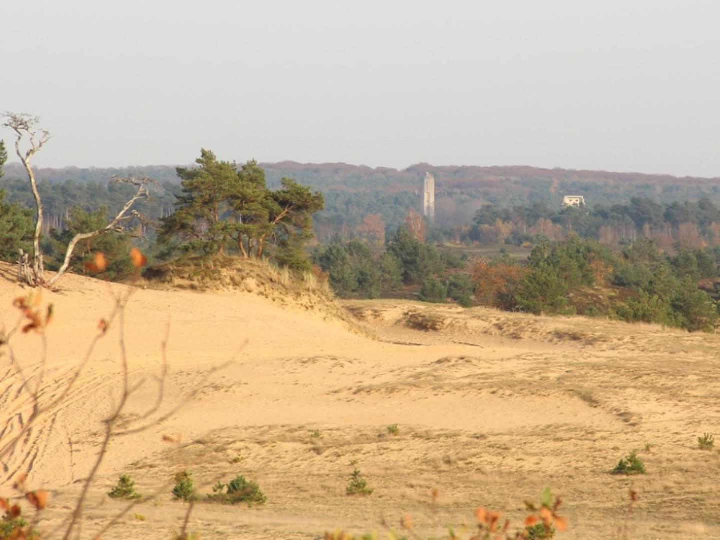 פורטהאוזן Vakantiehuis Op Rustig Bospark Veluwe מראה חיצוני תמונה