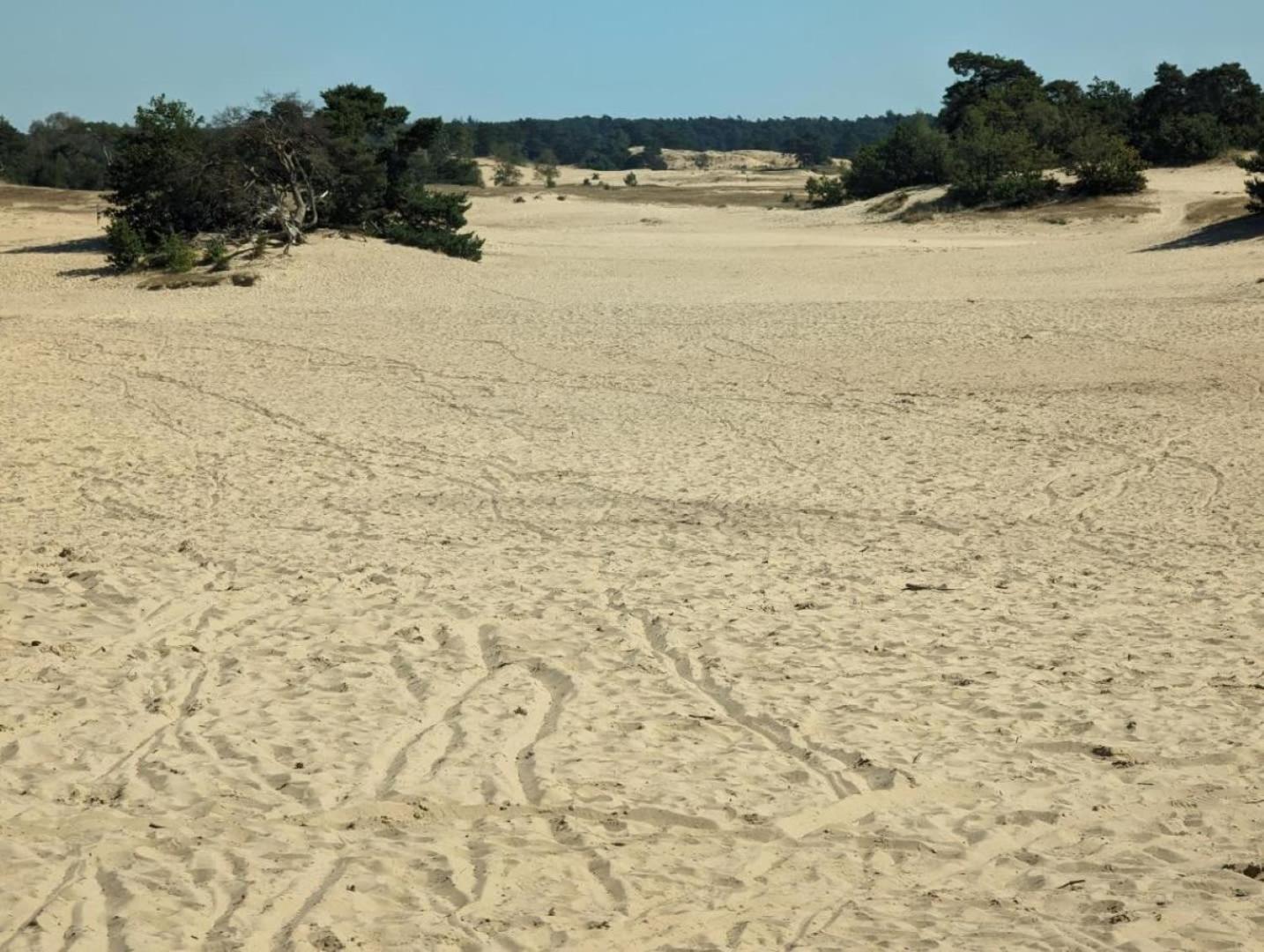 פורטהאוזן Vakantiehuis Op Rustig Bospark Veluwe מראה חיצוני תמונה
