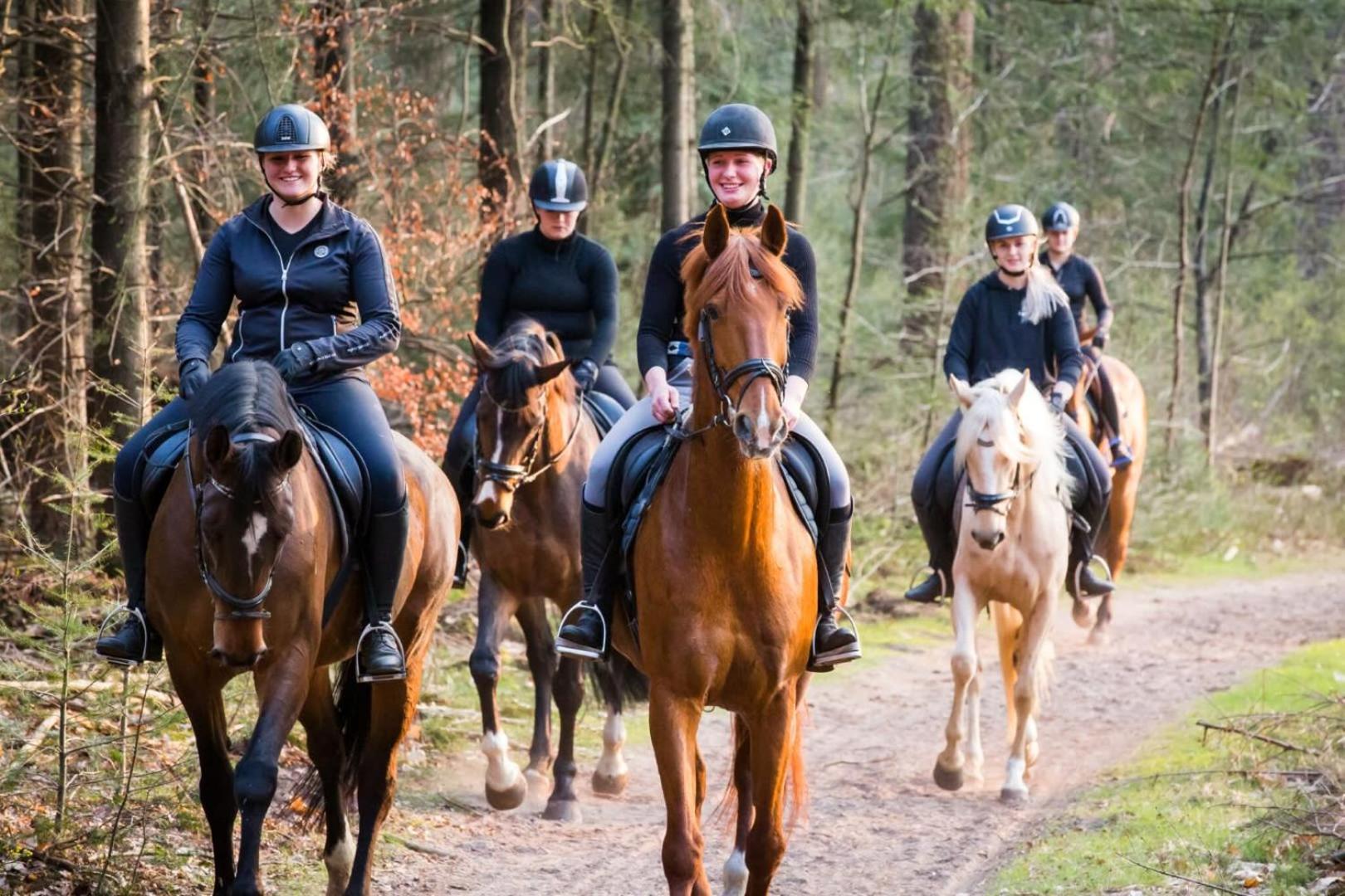 פורטהאוזן Vakantiehuis Op Rustig Bospark Veluwe מראה חיצוני תמונה