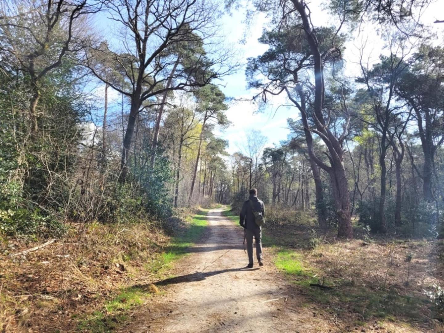 פורטהאוזן Vakantiehuis Op Rustig Bospark Veluwe מראה חיצוני תמונה